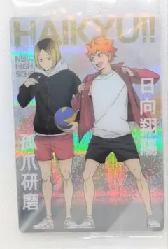 ハイキュー!! ウエハース5　日向翔陽&孤爪研磨【カードのみ】