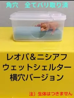 レオパ・ニシアフ用 ハンドメイドウェットシェルター（横穴・スポンジ付）のサムネイル