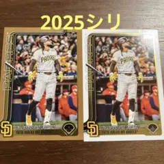 Fernando Tatis Jr. toops update