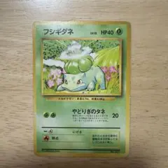 フシギダネ 旧裏　マークなし