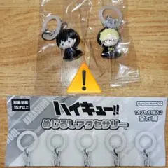 ⚠️小冊子　１枚⚠️　めじるしアクセサリー　ハイキュー!!　影山／月島　セット