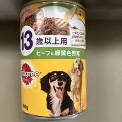 Item thumbnail for item 6205502c-6873-4a40-bf6b-7875011c38e3