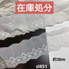 デザインレース約30m
