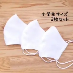 【両面白】布立体マスク 3枚セット 小学生 給食マスク シンプル 白マスク