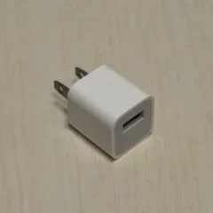 USB充電器 ホワイト 2ピンプラグ