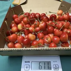야마가타현 사가에산 비표준 야마가타 베니오 600g