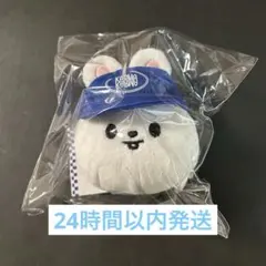 リービット アイドル