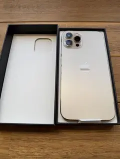 アルタさま用 Apple iPhone