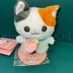 ぴたっとふれんず　ミーメル　ぬいぐるみセット サンリオ ウイッシュミーメル ぴたっとふれんず ぬいぐるみ