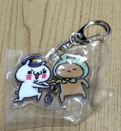 2026年最新】愛しすぎて大好きすぎる。にゃんことくまの人気アイテム