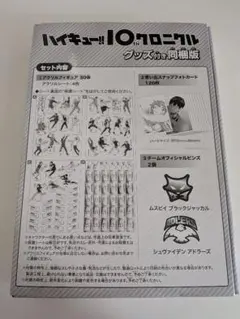【グッズのみ】ハイキュー!! 10thクロニクル グッズ付き同梱版