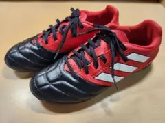 adidas サッカートレーニングシューズ 25㎝