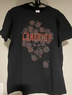 Lサイズ　ちゃんみな Tシャツよさこい光が丘　コラボTシャツ Mサイズ ちゃんみな Tシャツ よさこい光が丘 - メルカリ