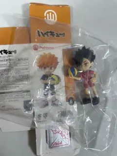 PalVerse ハイキュー!! 黒尾鉄朗