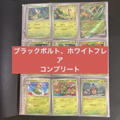 ポケモンカード　ブラックボルト　ホワイトフレア　コンプリートセットファイル付き