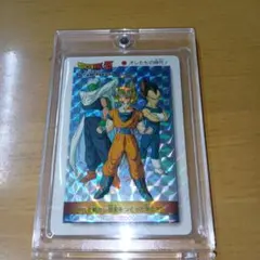 【貴重】【レア】ドラゴンボールZ PPカード PART 24