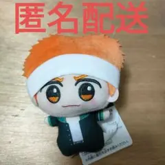 【匿名配送】ウィンブレ　大河