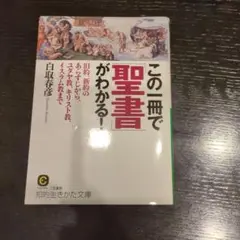 この一冊で聖書がわかる! 白取春彦