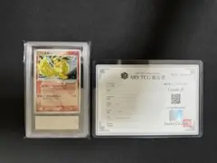 2025年最新】ポケモンカード トロピカルウインドの人気アイテム