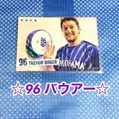 バウアー　ベイスターズ　ガチャ　SR パネル 応援グッズ|PICK UP ITEM|BAYSTORE ONLINE