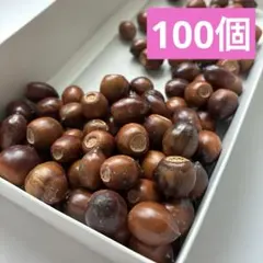 ①どんぐり100個⭐️煮沸虫対策磨き済⭐️工作　リース　ハンドメイド　材料 自然素材