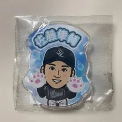 2025年最新】佐藤隼輔 ライオンズの人気アイテム - メルカリ