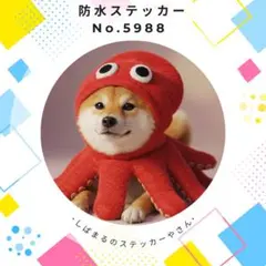 【送料無料❣️】柴犬防水ステッカー たこさん