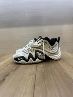 Nike ズームフライト5 26.5cm