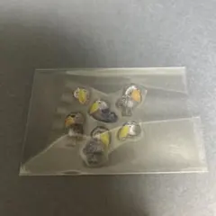 ボンボンドロップシール　ハシビロコウ　おすそ分け