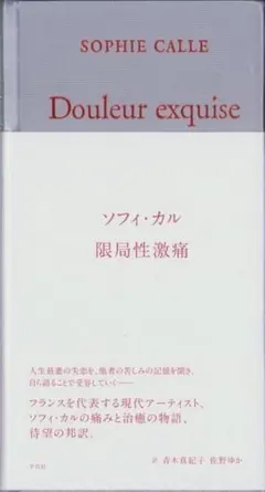 ソフィ・カル 限局性激痛 原美術館展覧会図録 - メルカリ