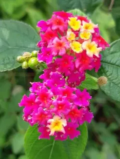 マック様 リクエスト 3点 まとめ商品