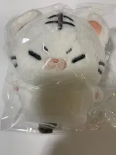 2026年最新】seventeen ホシ ぬいぐるみの人気アイテム - メルカリ