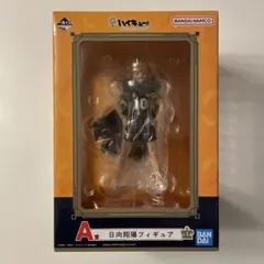 未開封品　ハイキュー　1番くじ　A賞　日向翔陽