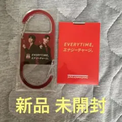 正官庄 EVERYTIME & TOHOSHINKI カラビナ カード セット
