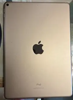 iPad Air 3