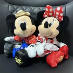 ディズニーランド　33周年　ペアぬい