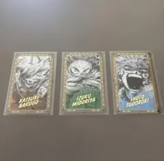 ヒロアカ 原画展 箔押し クリアカード 緑谷出久 爆豪勝己 轟焦凍