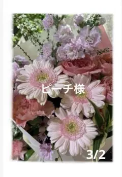 ピーチ様3月