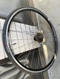 2026年最新】dt swiss ホイールの人気アイテム - メルカリ