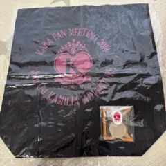 KARA ファンミグッズ