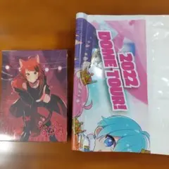 すとぷり　莉犬くん　シャッターチャンス! 初回限定DVD盤 バッグ付き アクスタ