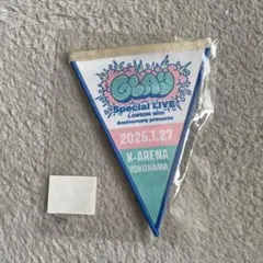 GLAY Kアリーナ 横浜 公演限定　グッズ　ガーランド 2026年最新】GLAY ガーランド 神奈川の人気アイテム - メルカリ