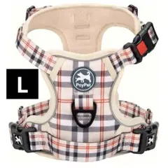 Item thumbnail for item 05e40fbb-df04-48d3-9b1b-f72a7c73a1d4