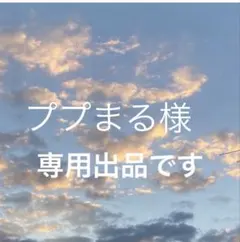 ププまる様専用！ mumokuteki など2点