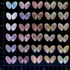 Rin【持病悪化傾向あり】様 リクエスト 2点 まとめ商品