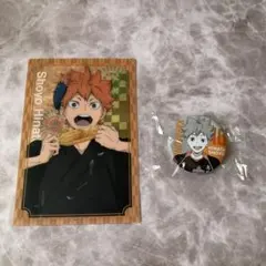 ハイキュー 日向翔陽 カード&缶バッジセット