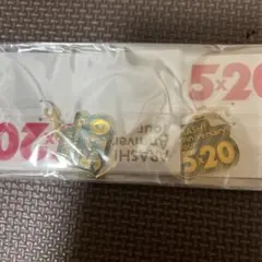 嵐 5×20 アニバーサリーツアー キーホルダー緑2個セット