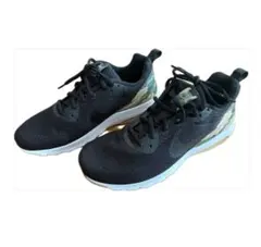 Item thumbnail for item 1184e50f-0806-455d-b420-37eba9a136dc