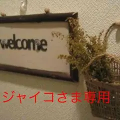 ジャイコさま専用＊アン＆アンディ＊長財布