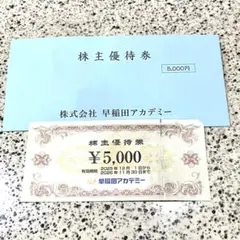早稲田アカデミー　株主優待券　5000円分